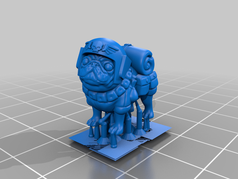 Cadian Pug Supported