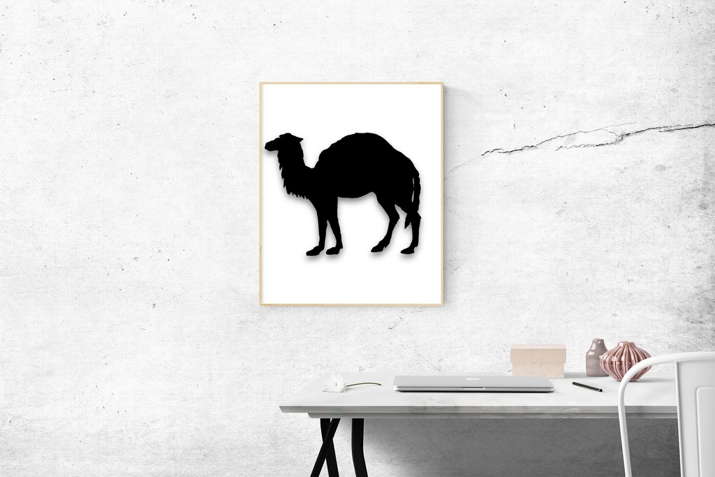 Camel decor picture. Animals collection