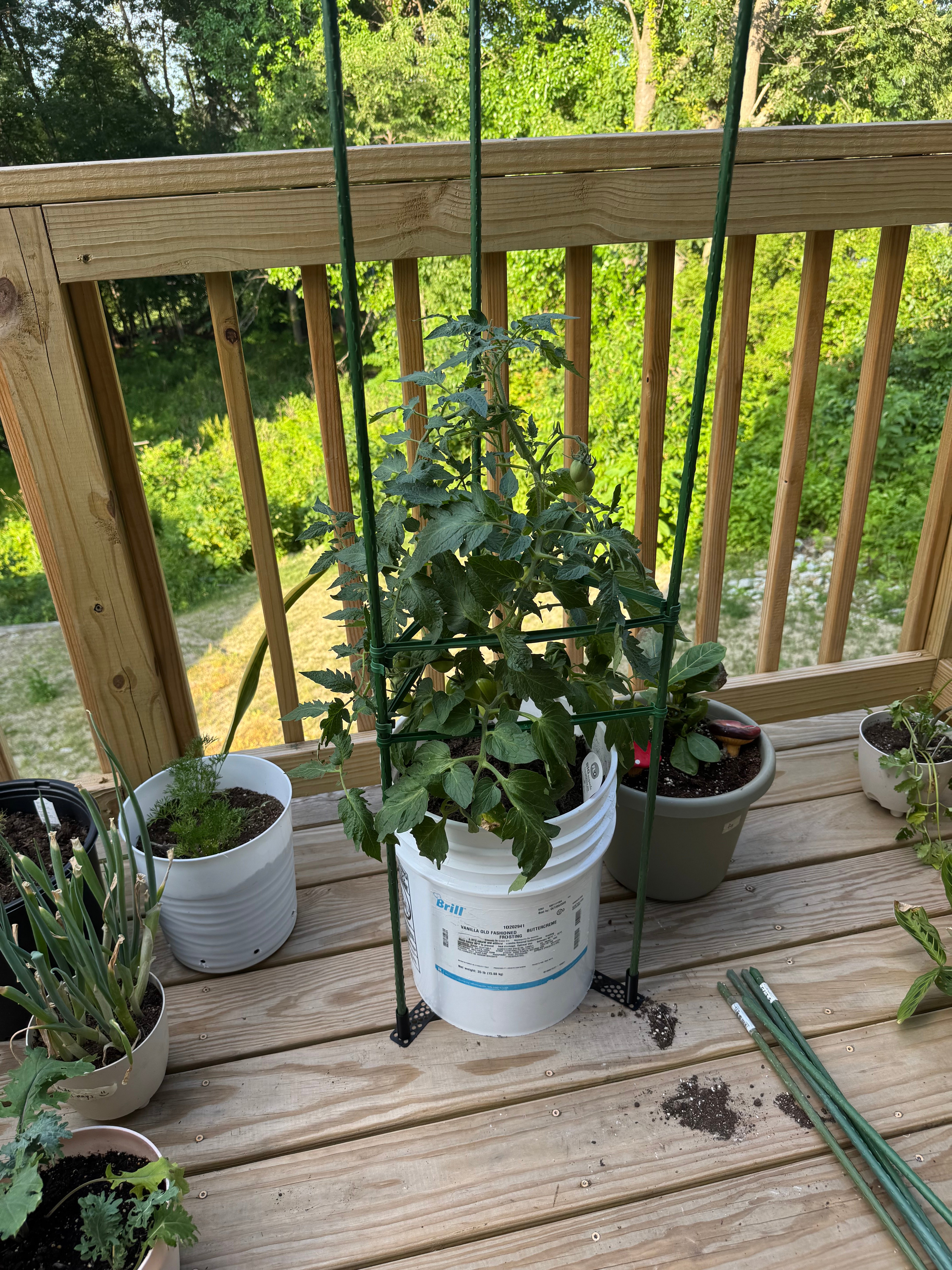 tomato cage external feet