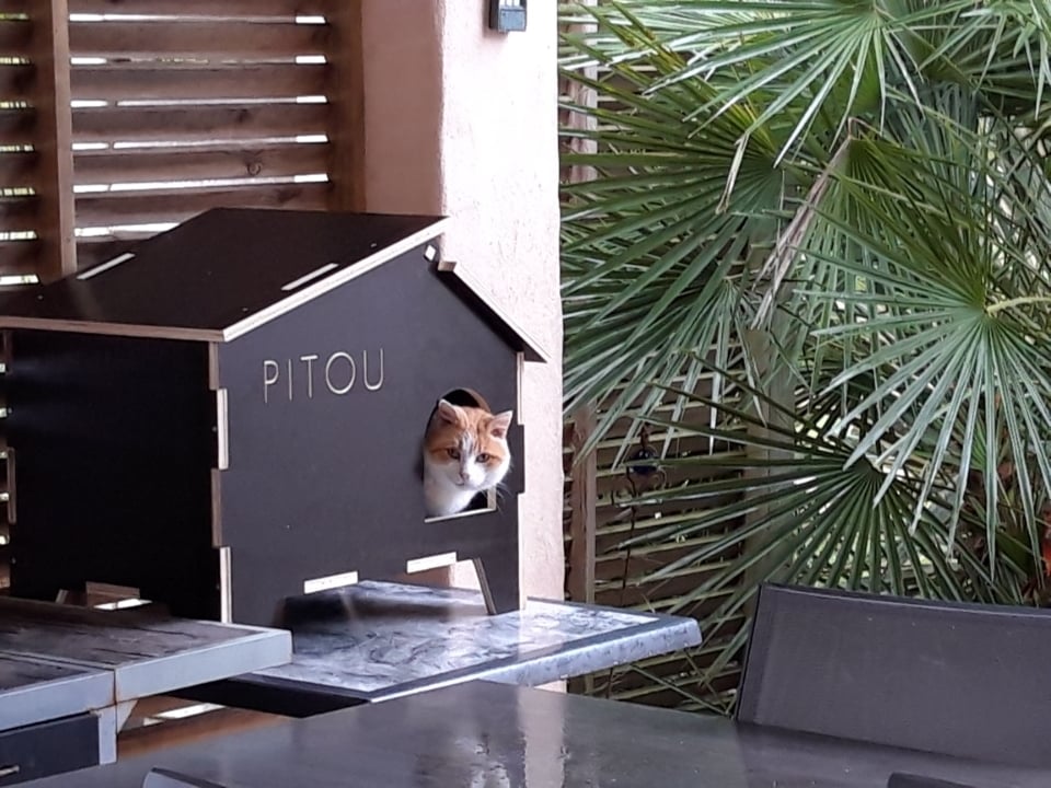 House for Pitou the Cat