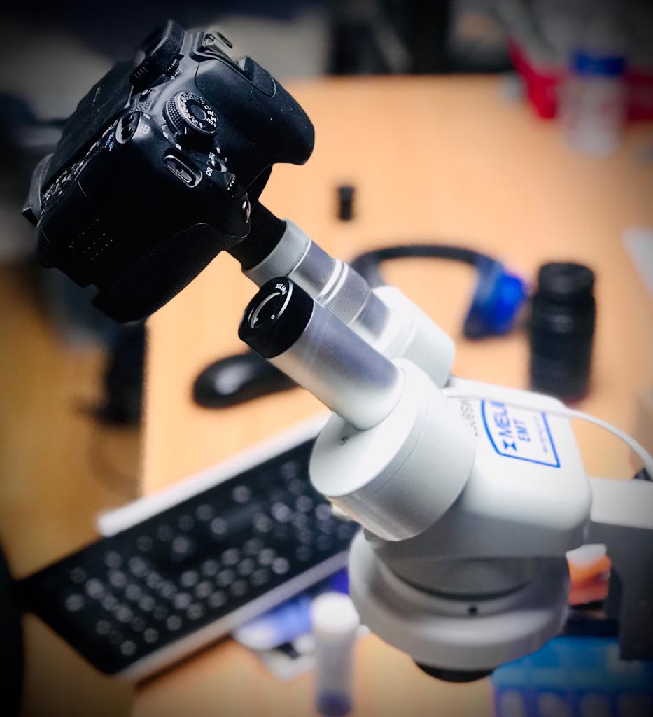 Canon microscope optical adapter 