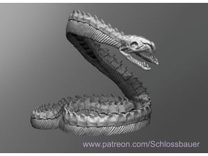 Giant Snake Skeleton 3D model