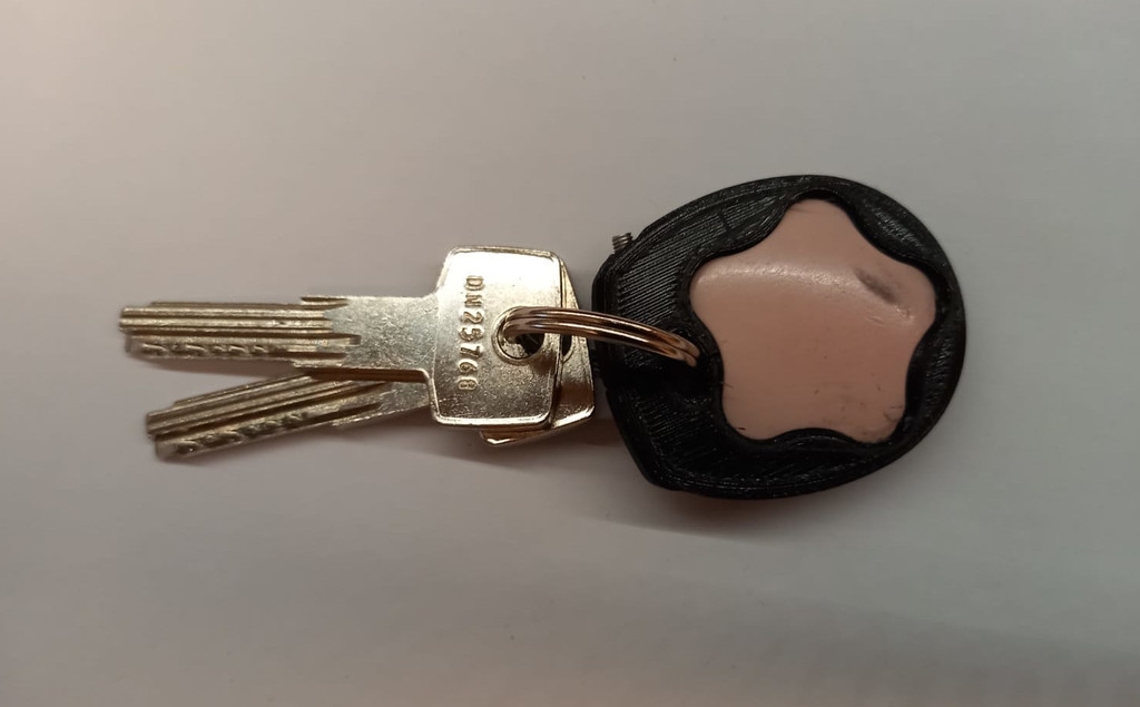 Keychain holder for alarm tag
