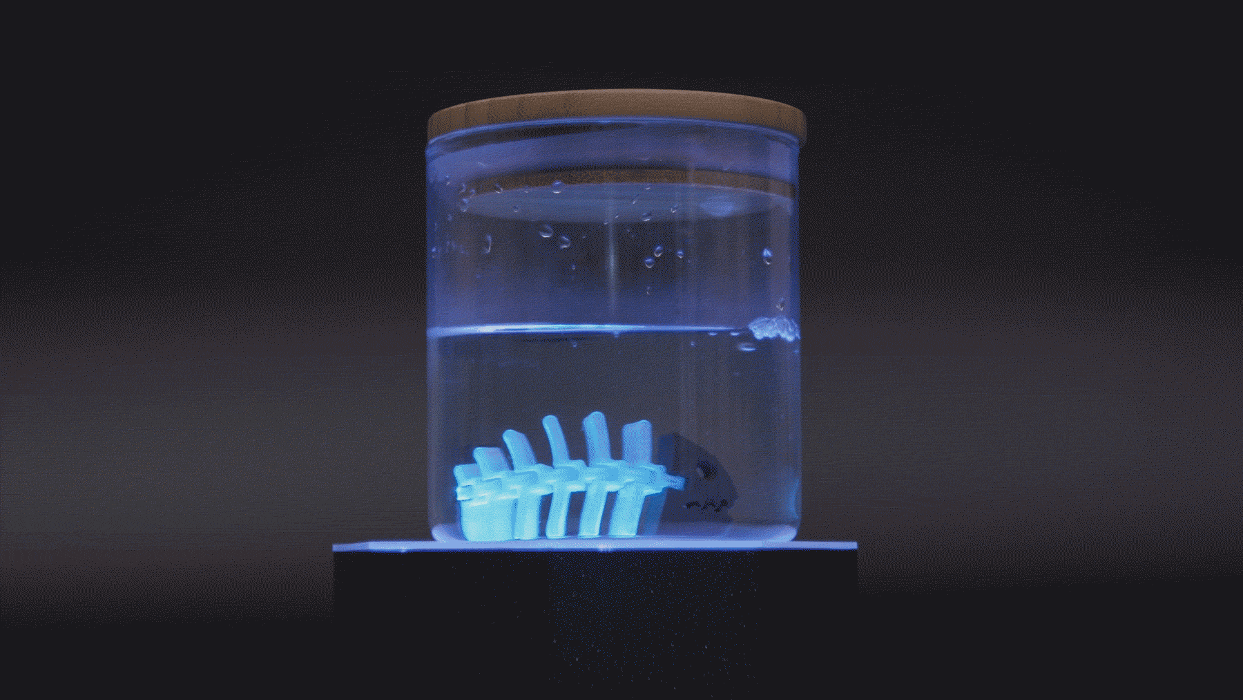 Robotic Creatures