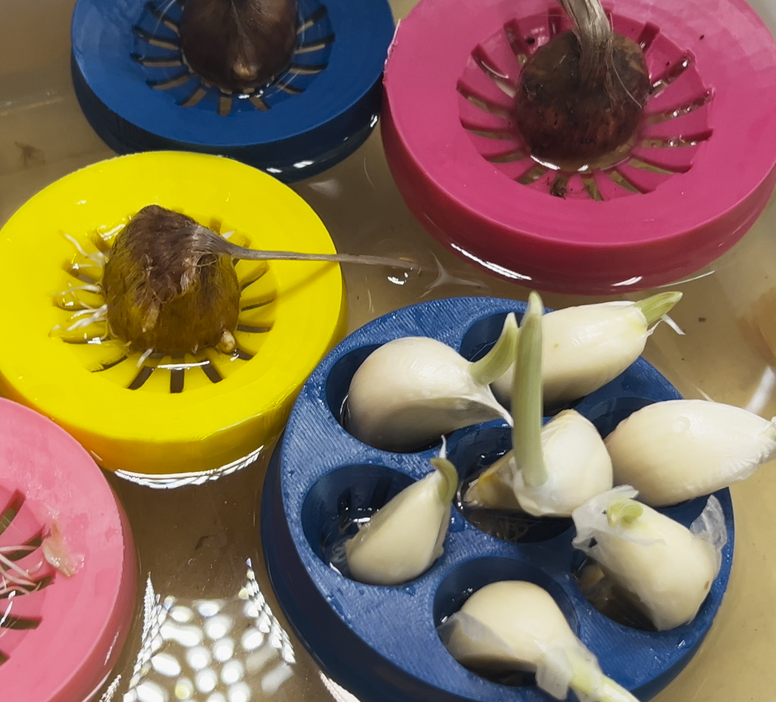Garden bulb rafts