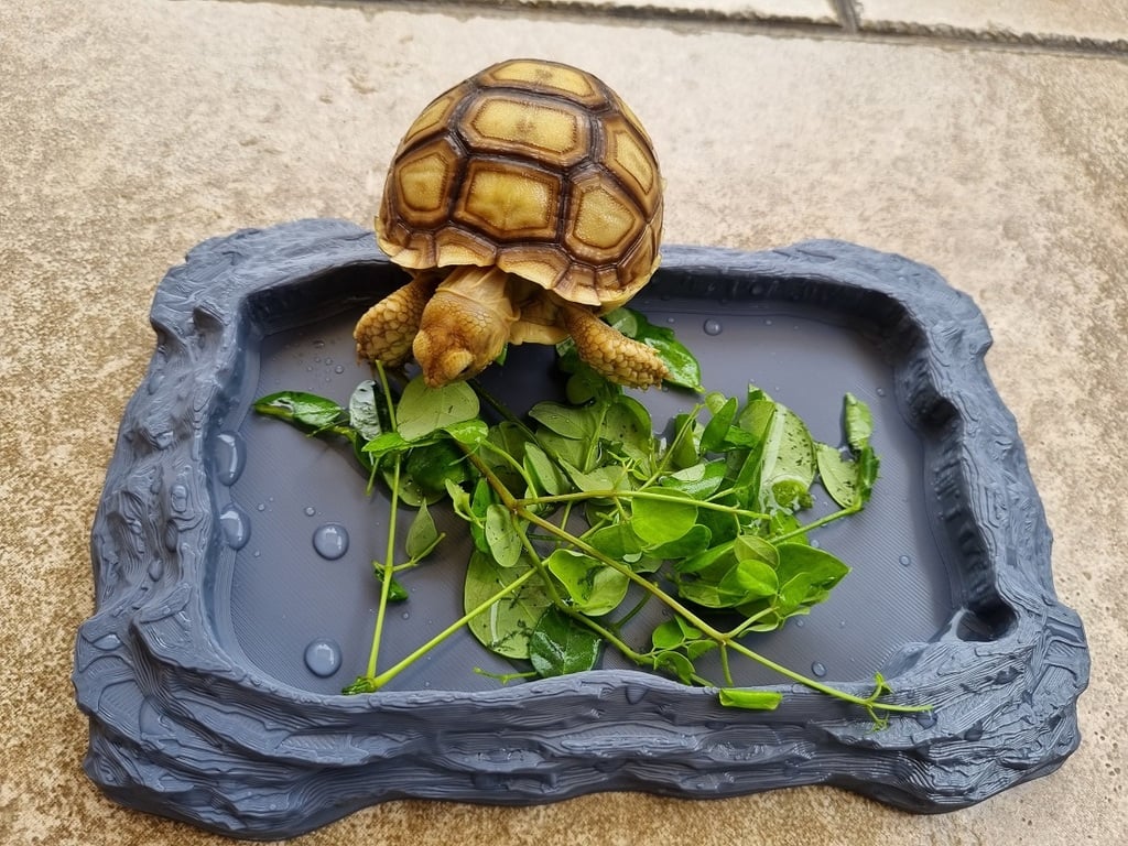 Reptile Tortoise Dish 