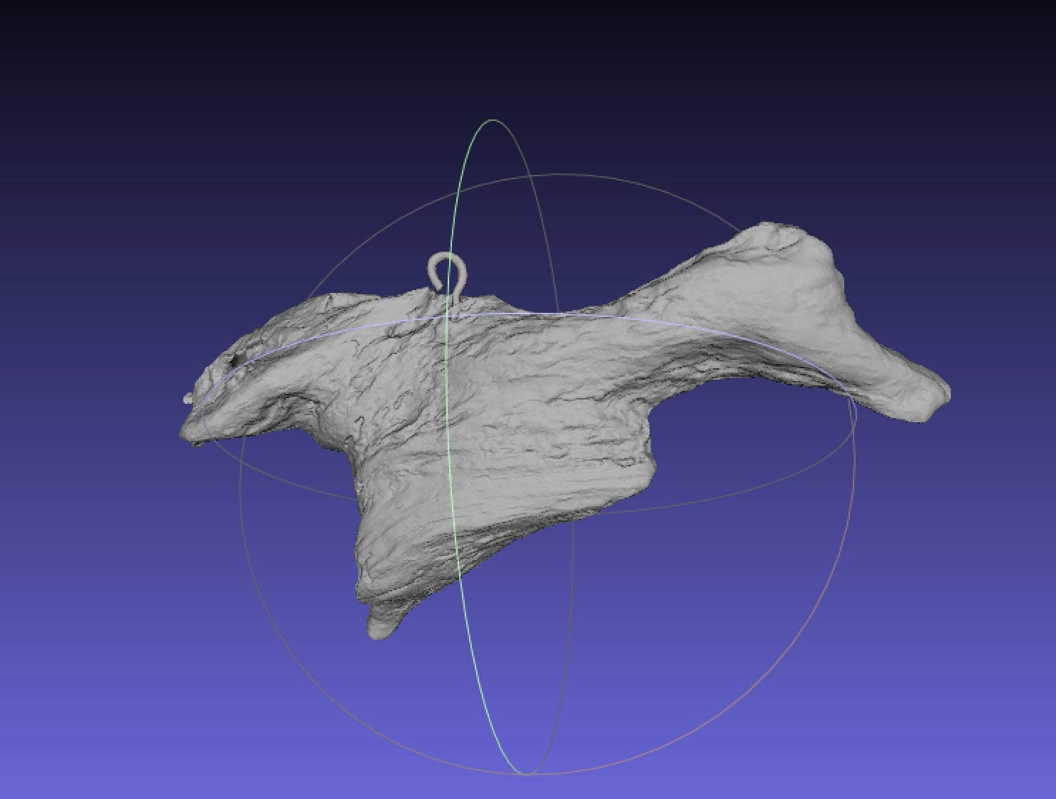 Driftwood Duck Scan, with hook!