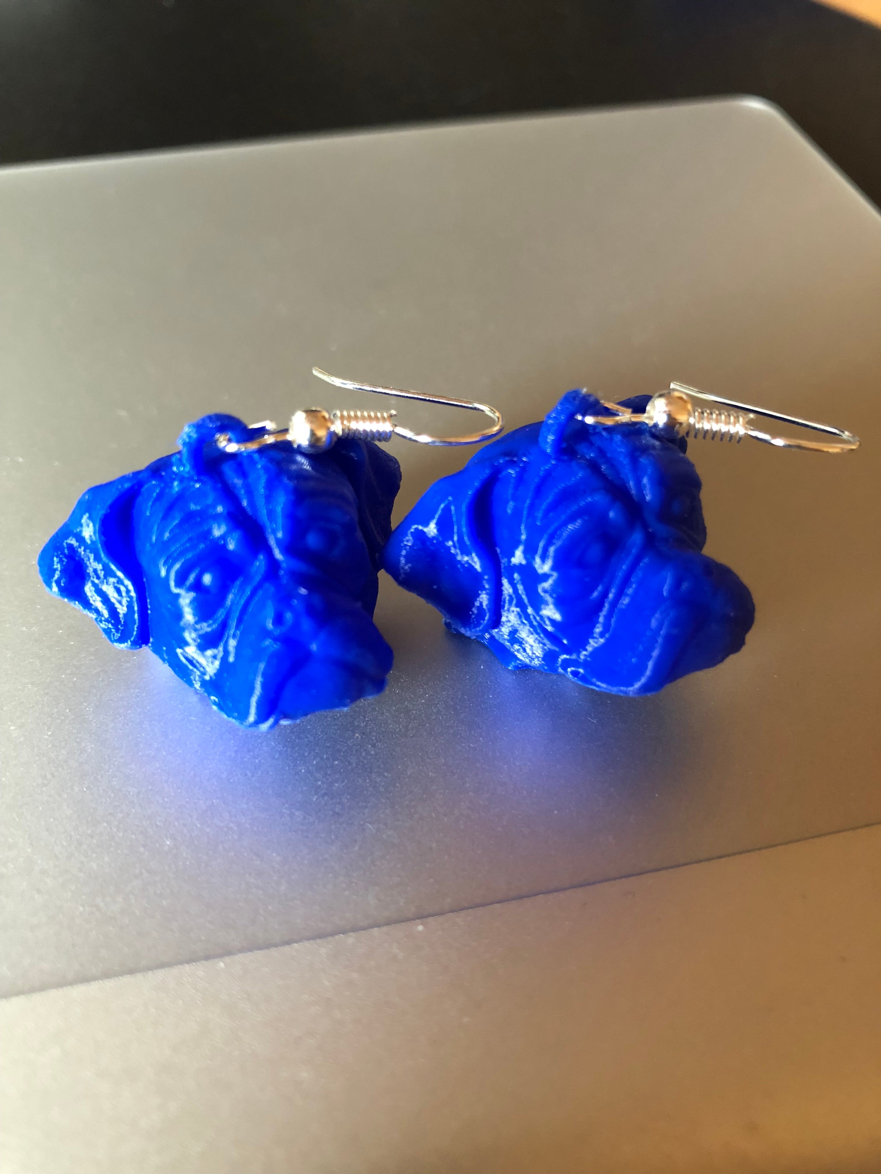 Earring Boxer