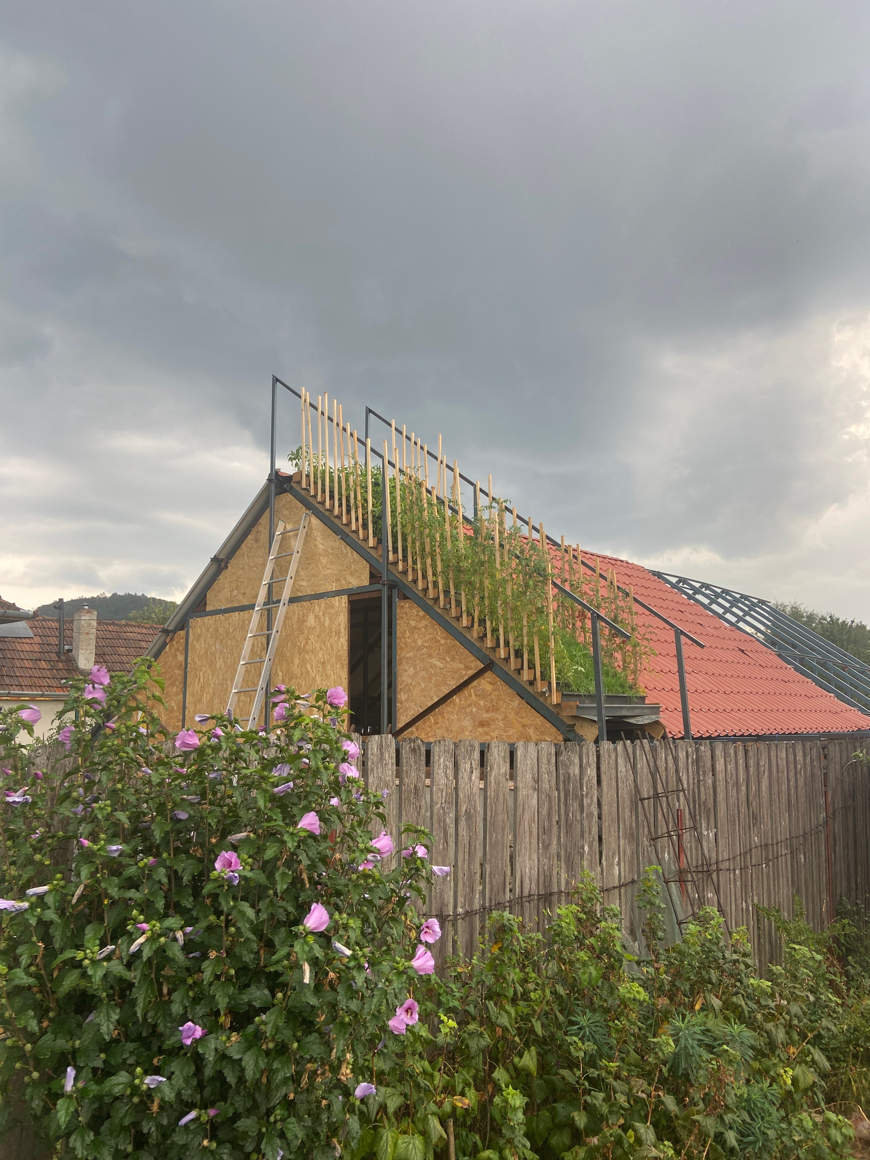 F-Roof: A multi-function, single-layer roof
