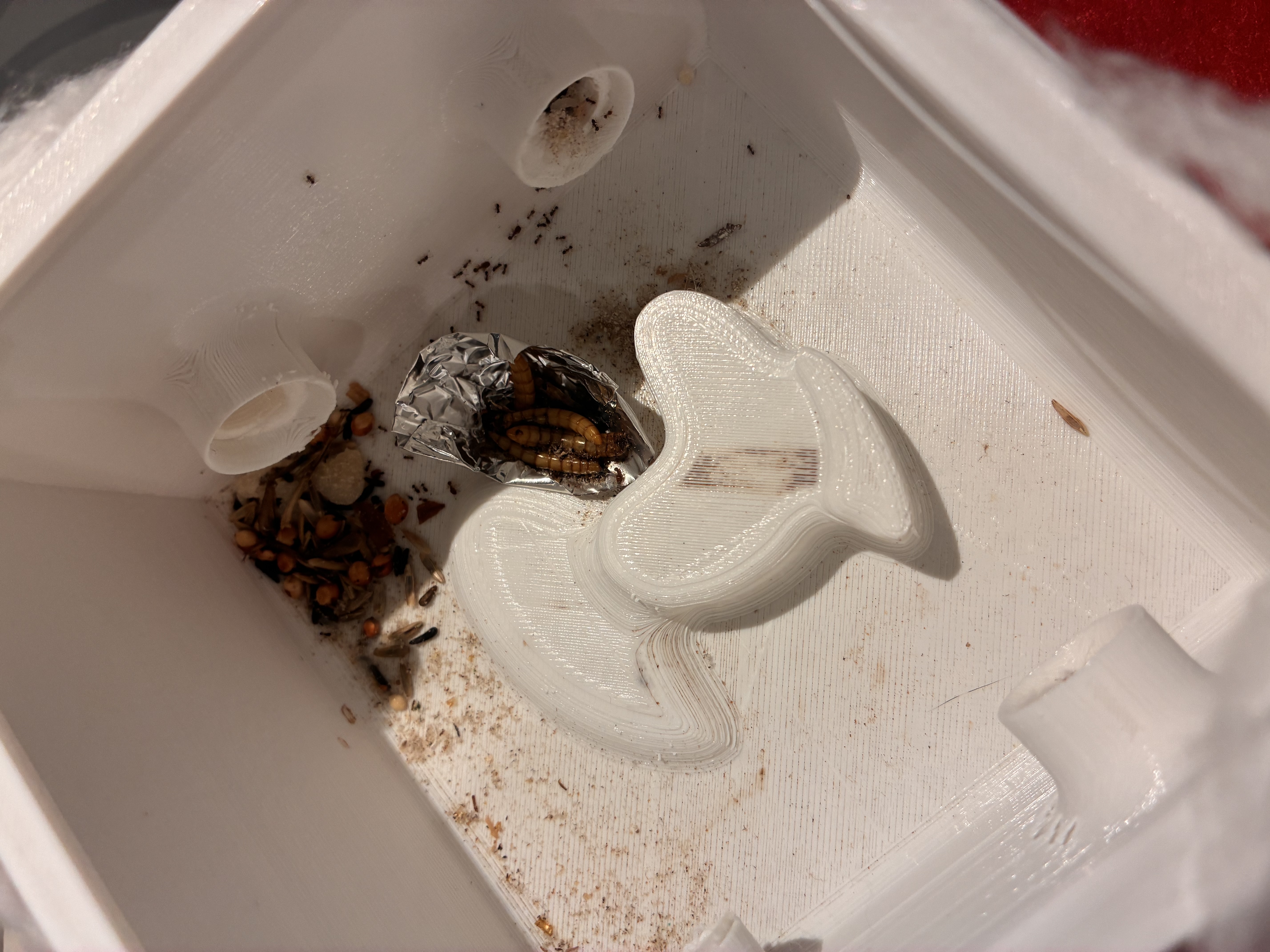 Ant Outworld - 15mm exits
