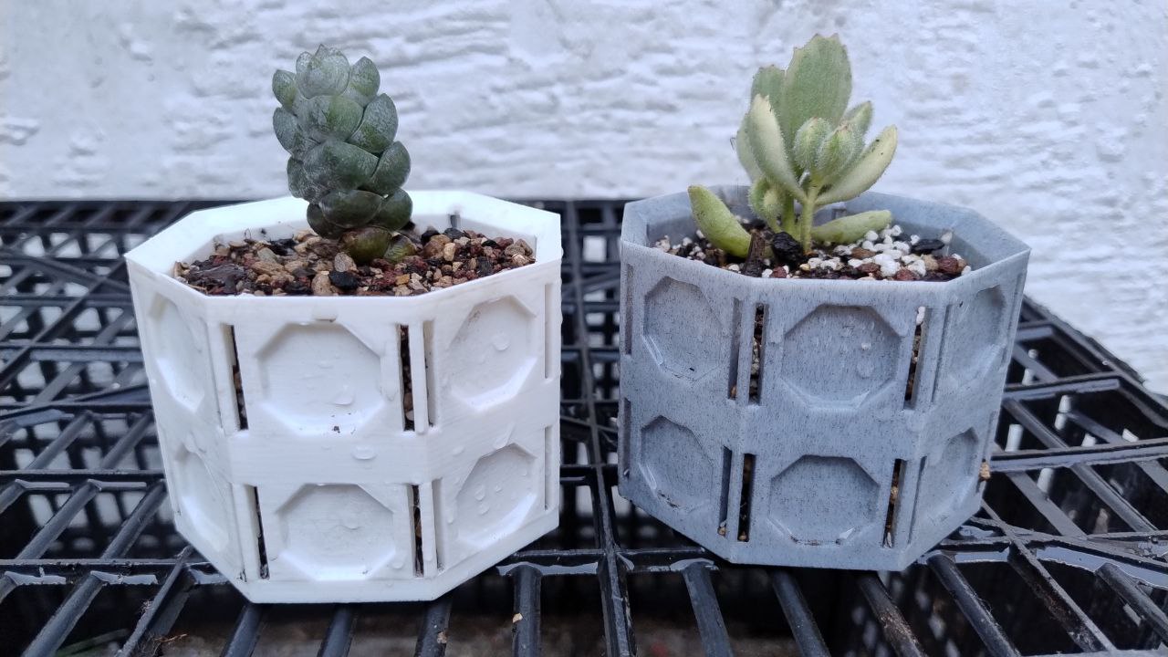 Succulent planter with lateral drainage