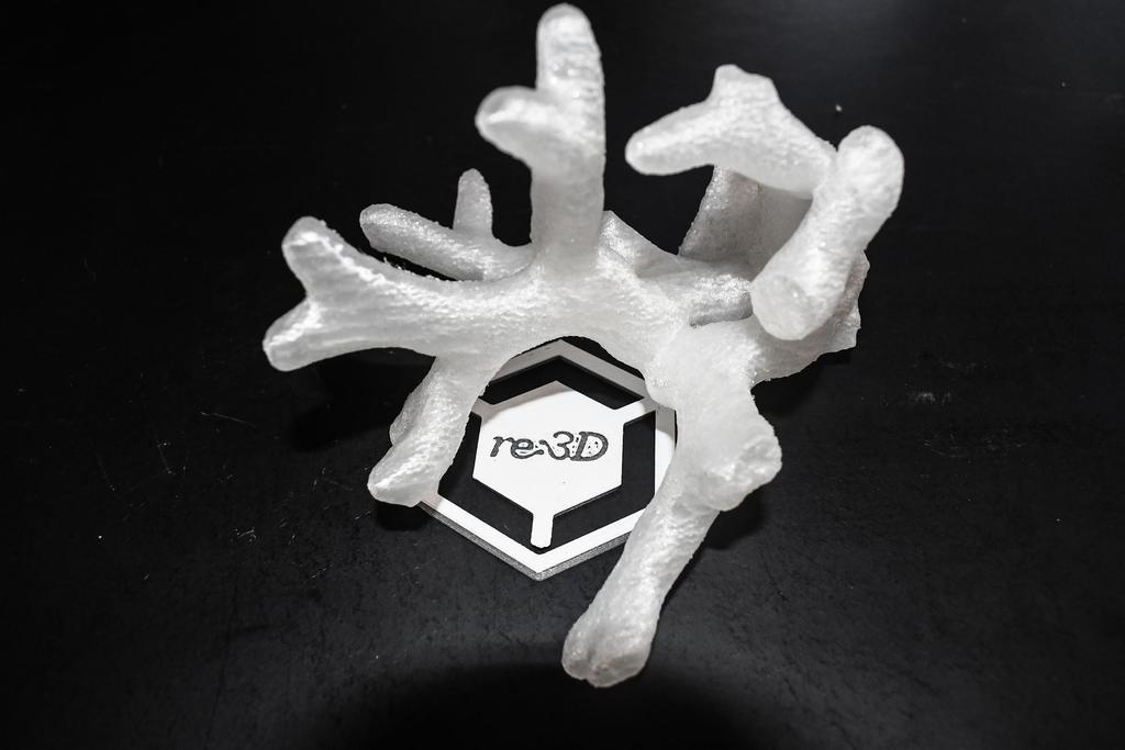 3D Printing Coral