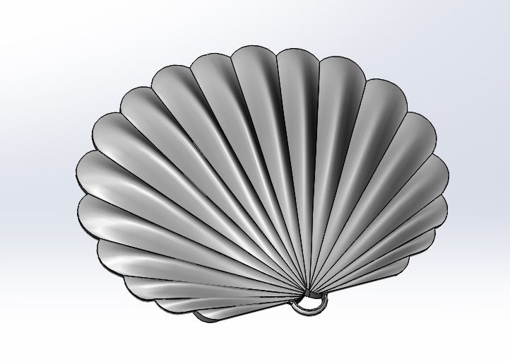 Seashell