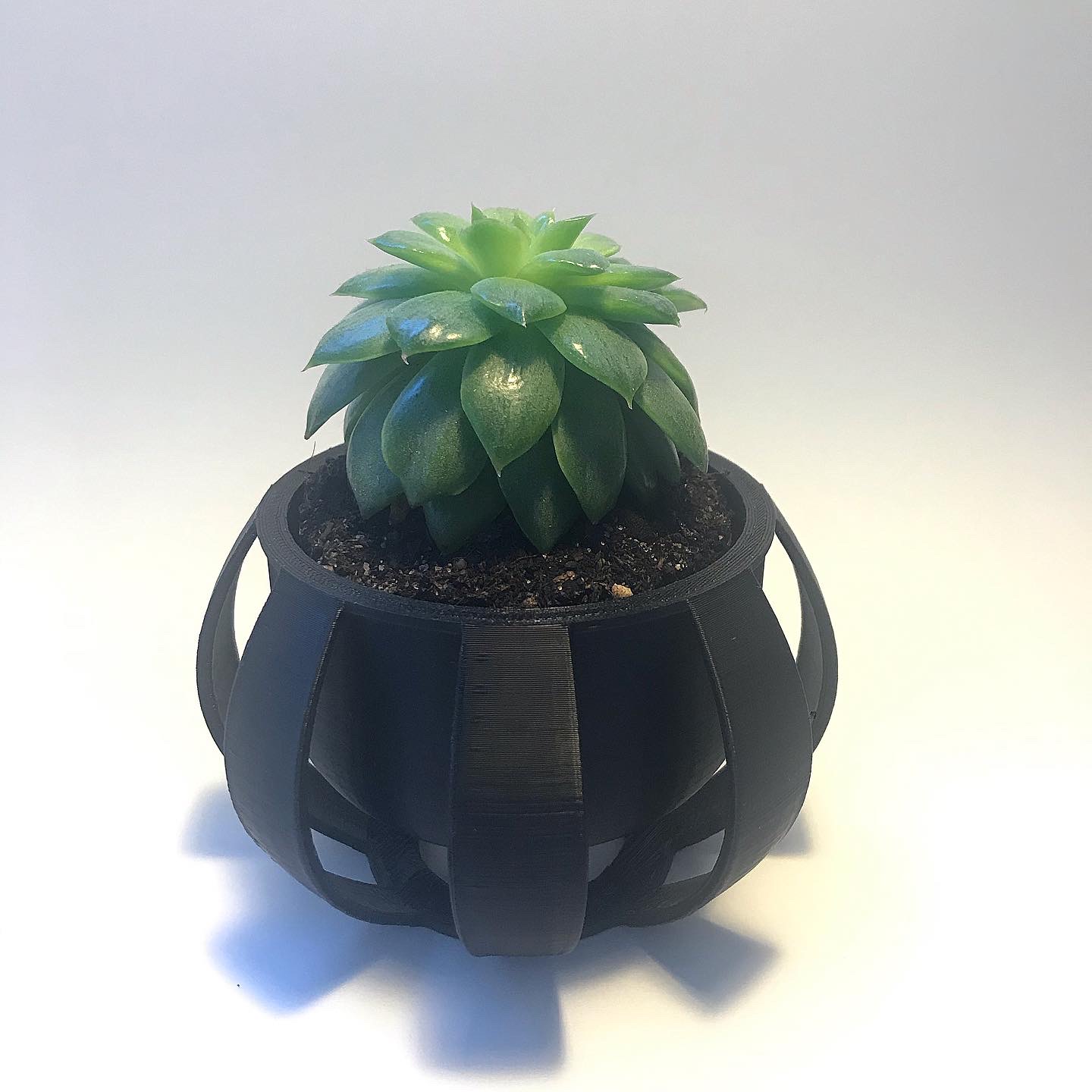 Modern Planter