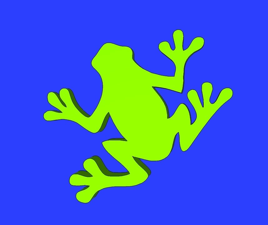 Tree Frog