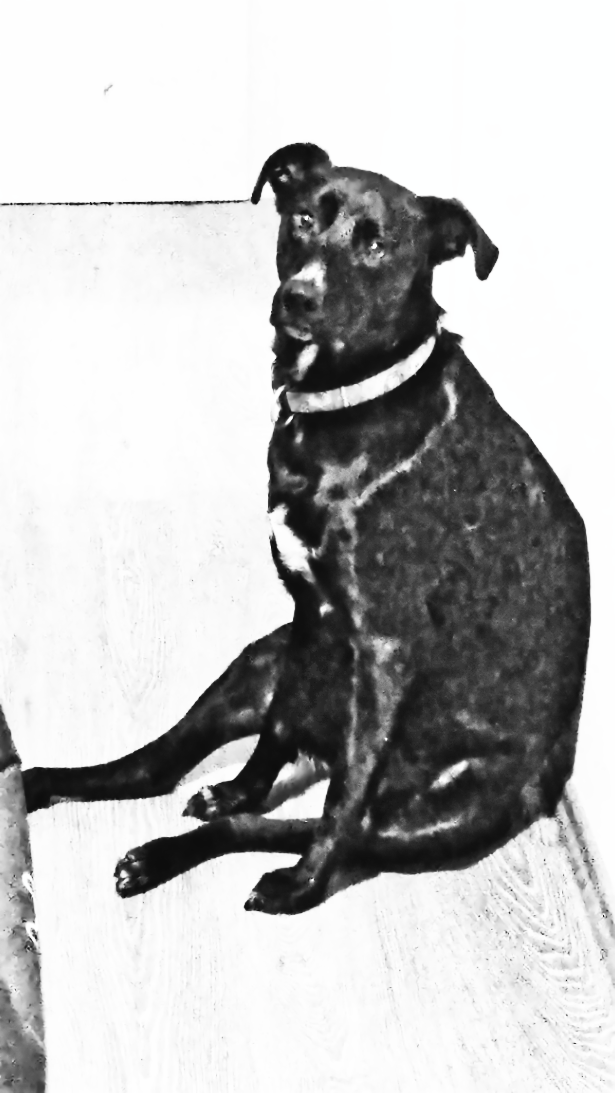 santemjocko