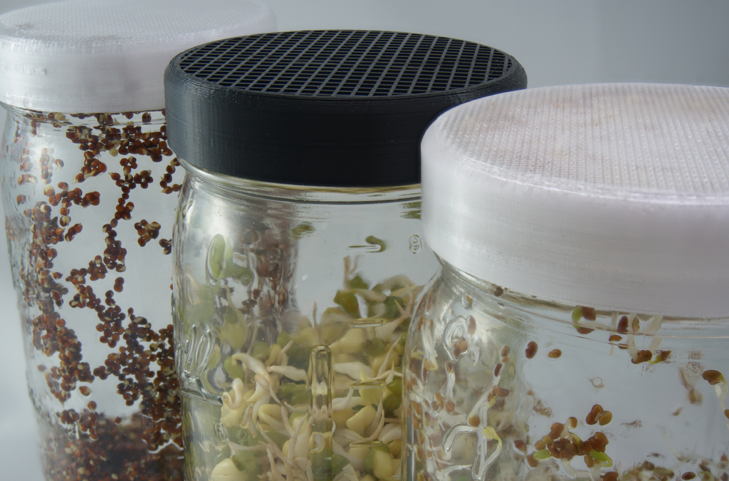 Sprout Growing Mason Jar Strainer