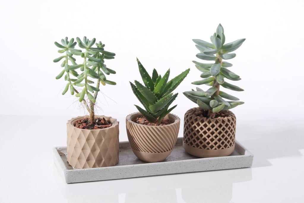 Modern geometric Succulent plant pot 
