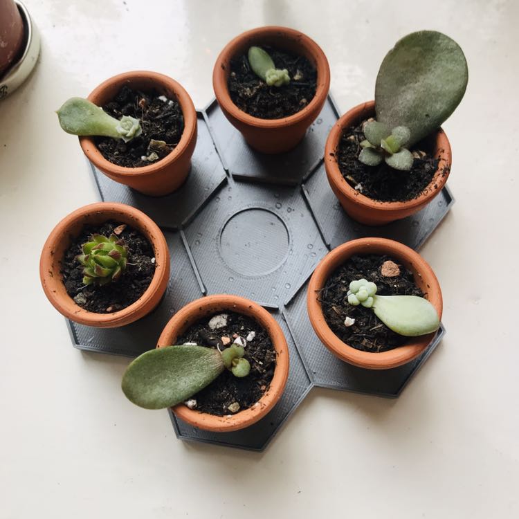 Honeycomb tray for mini planters