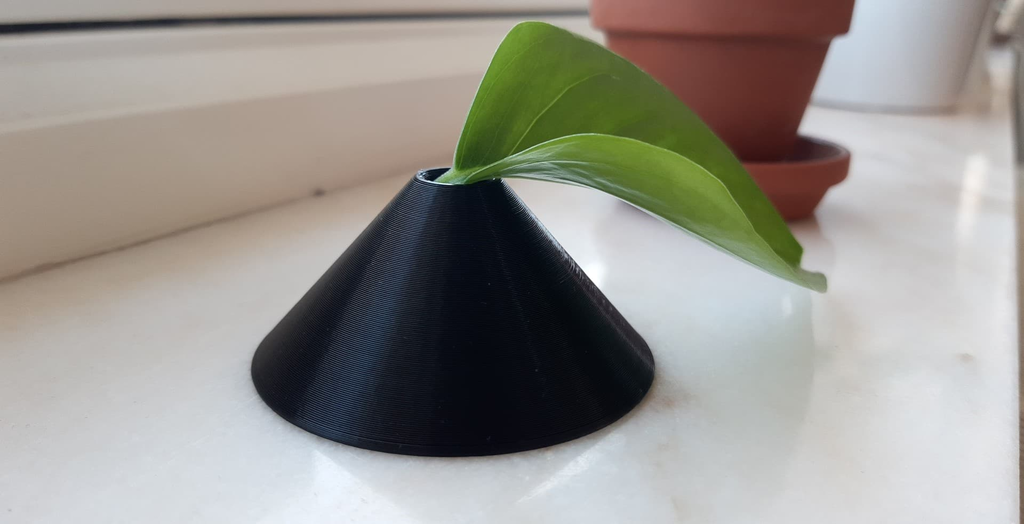 Vase for plant cutting