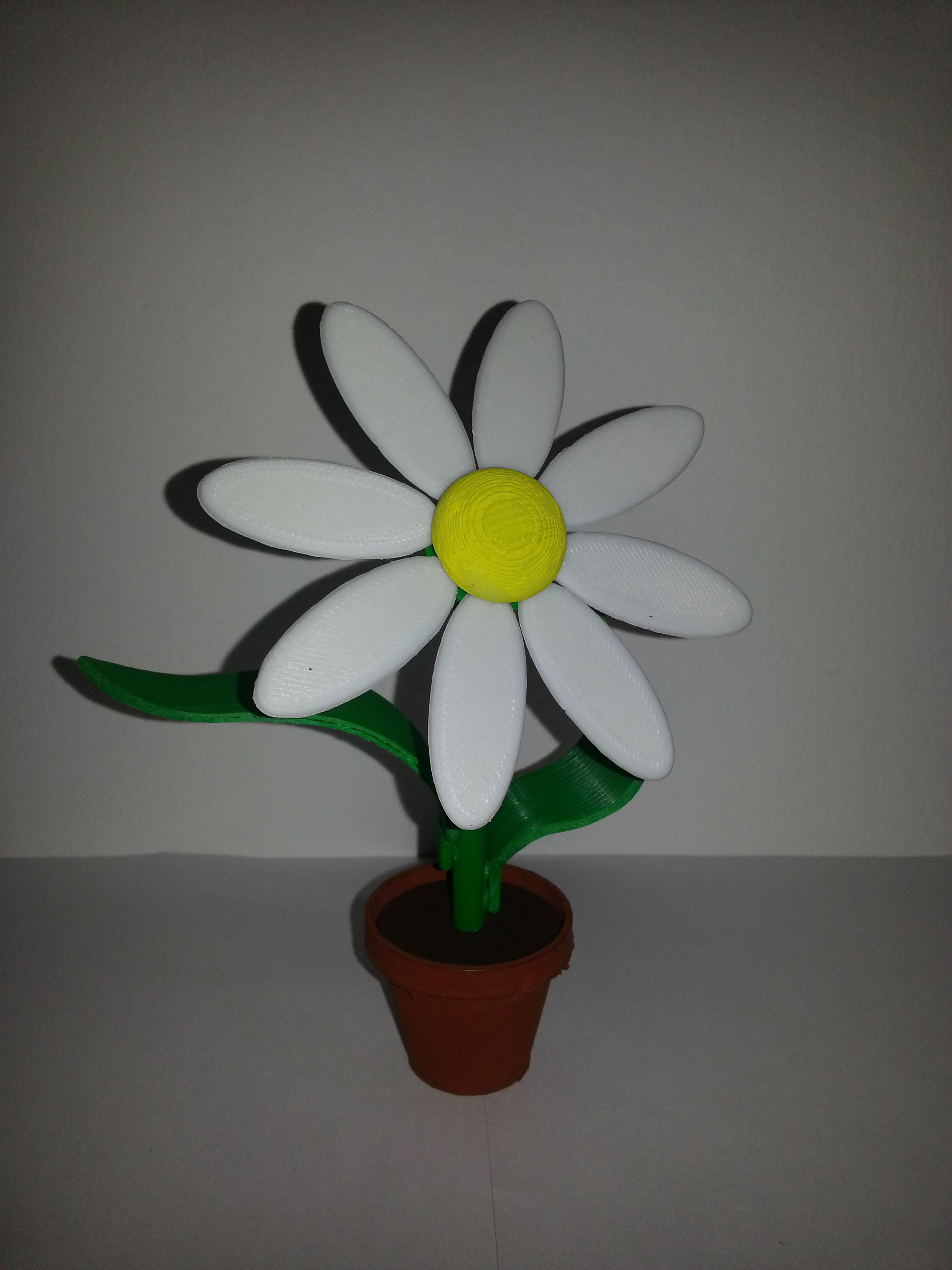 FlowerKit-Daisy