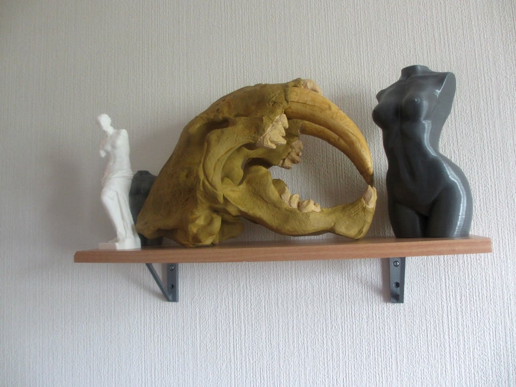 Wall Shelf support