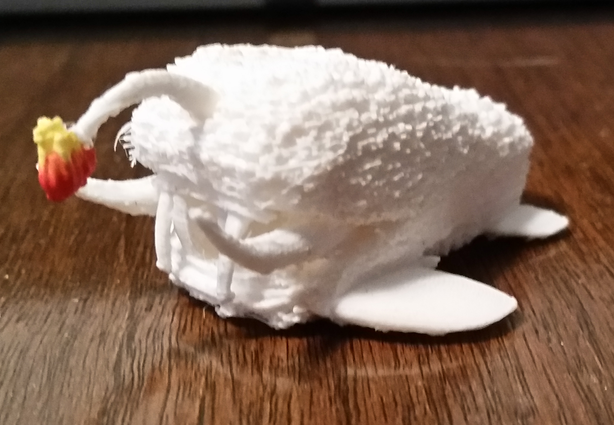 Woolly Angler