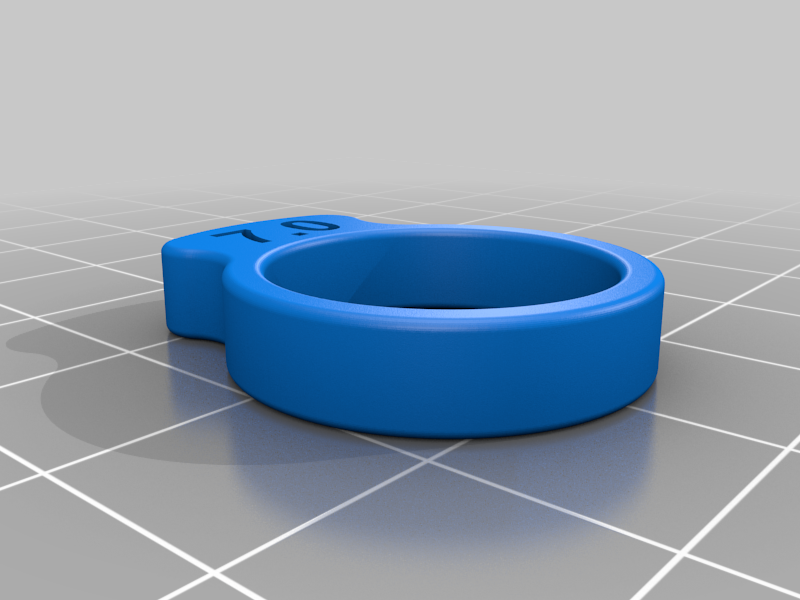 Ring Size Samples