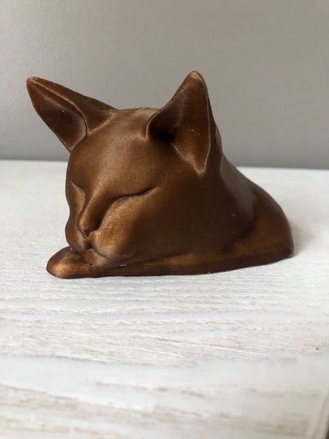 Chat Dodo - Cat Sleeping