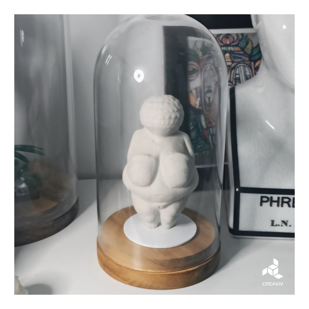 Willendorf Venus and Display support
