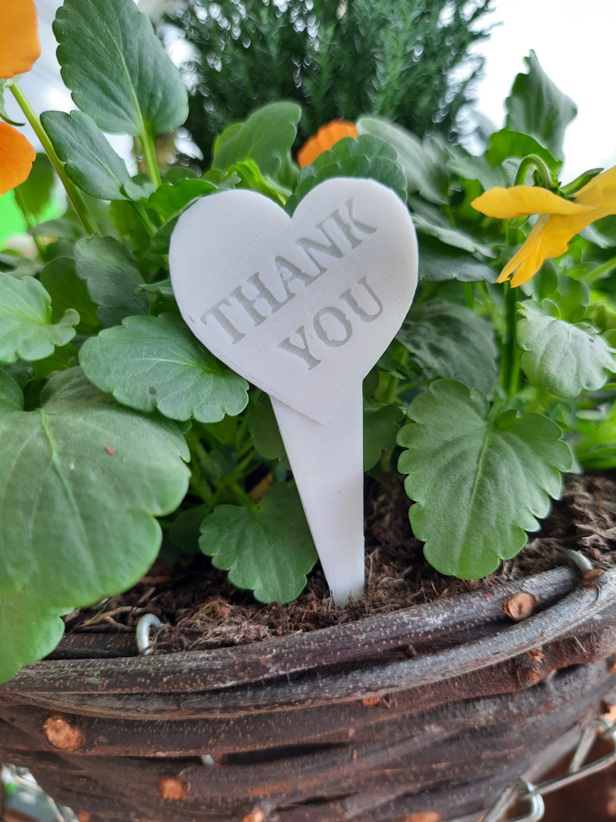 PLANT STICK Thank you.