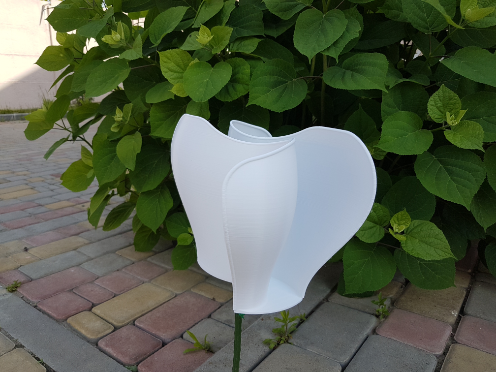 Big Flower rotating by wind