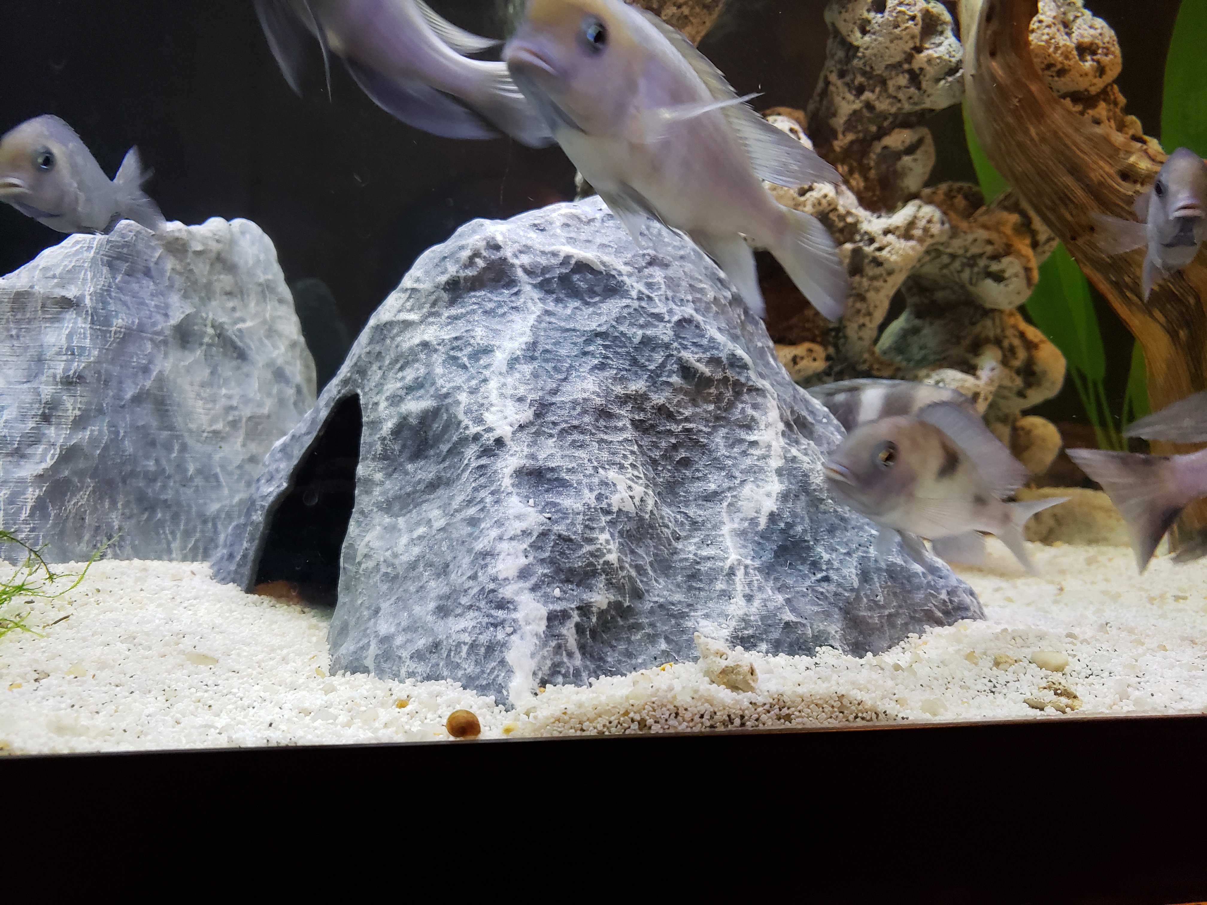 Aquarium Decoration - Textured Rock Cave - Large Tented
