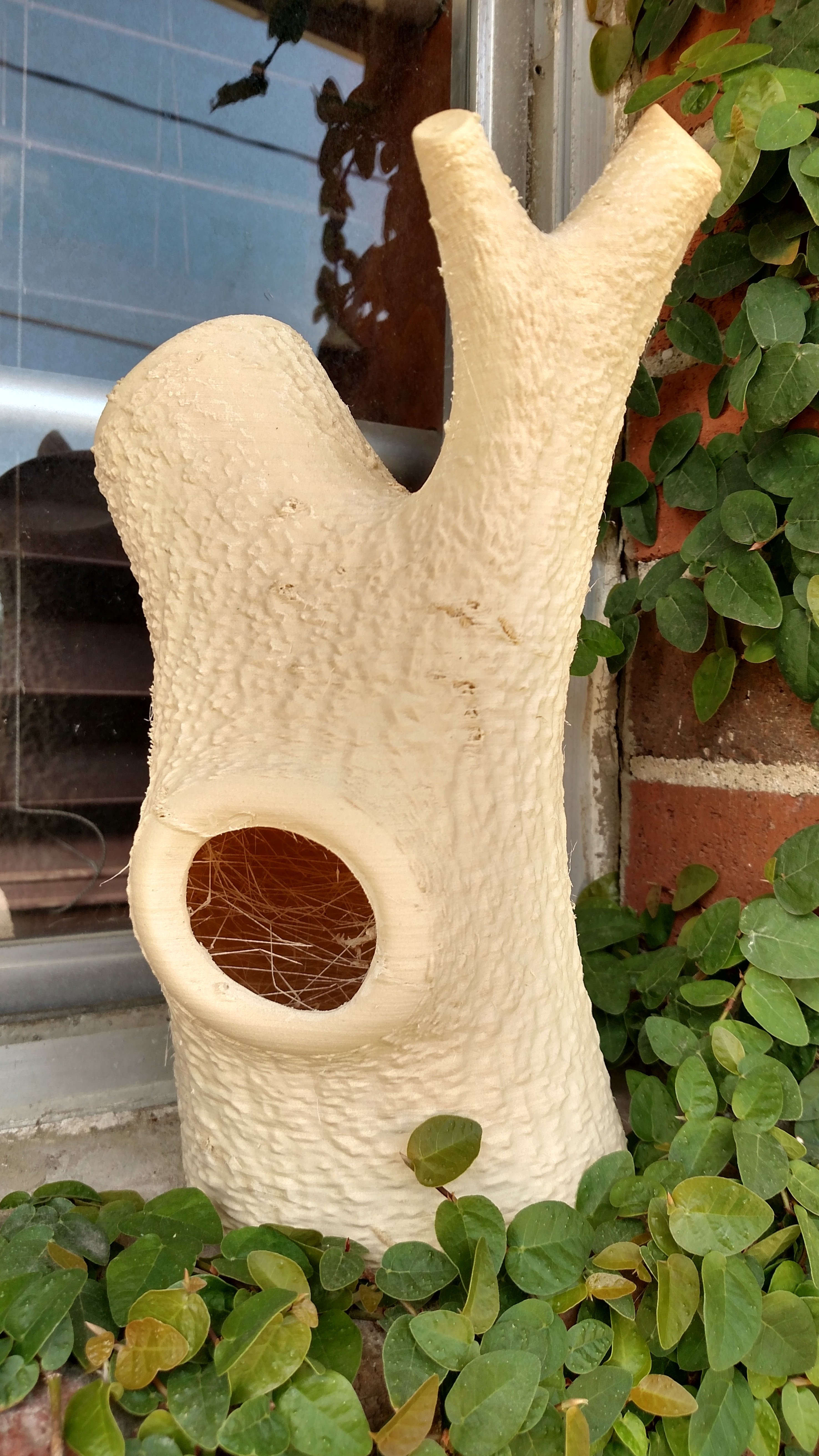 bird house