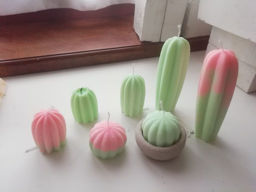Cactus collection for make candels