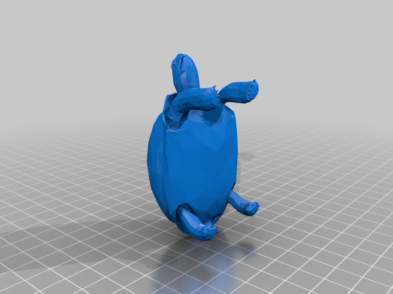 Turtle - Low Poly
