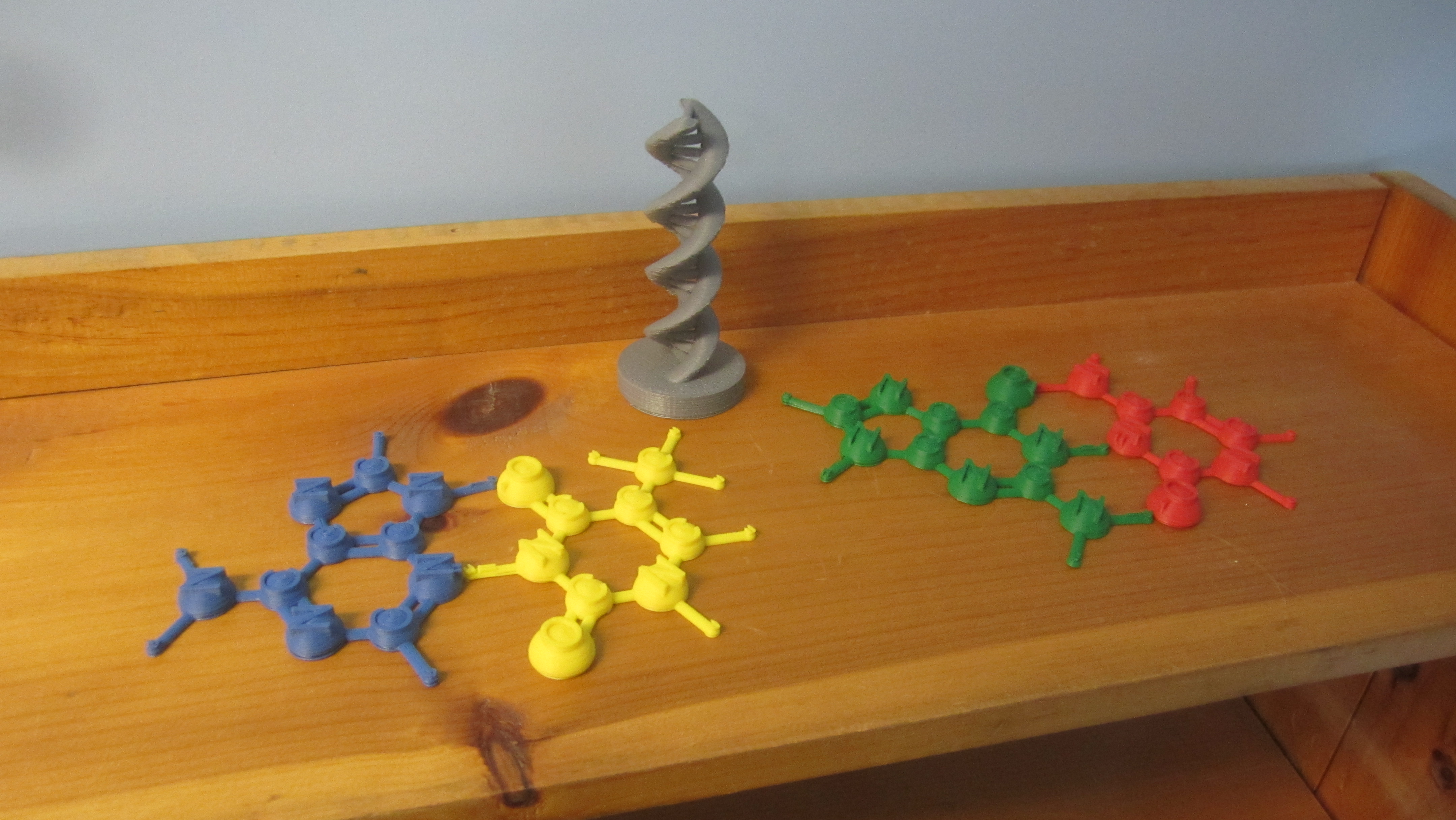 DNA Helix and Nucleotides
