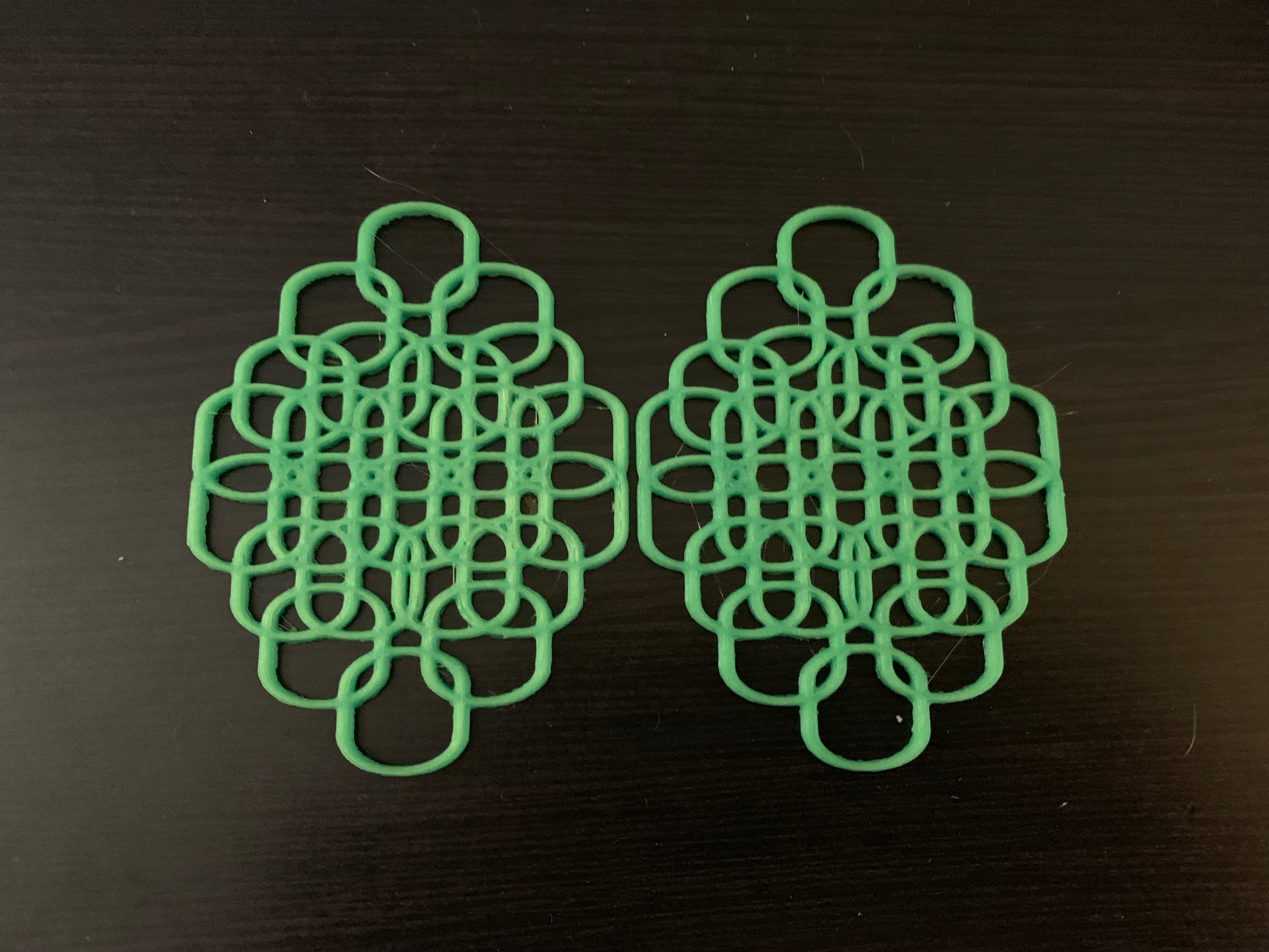 Smart Torus Earrings