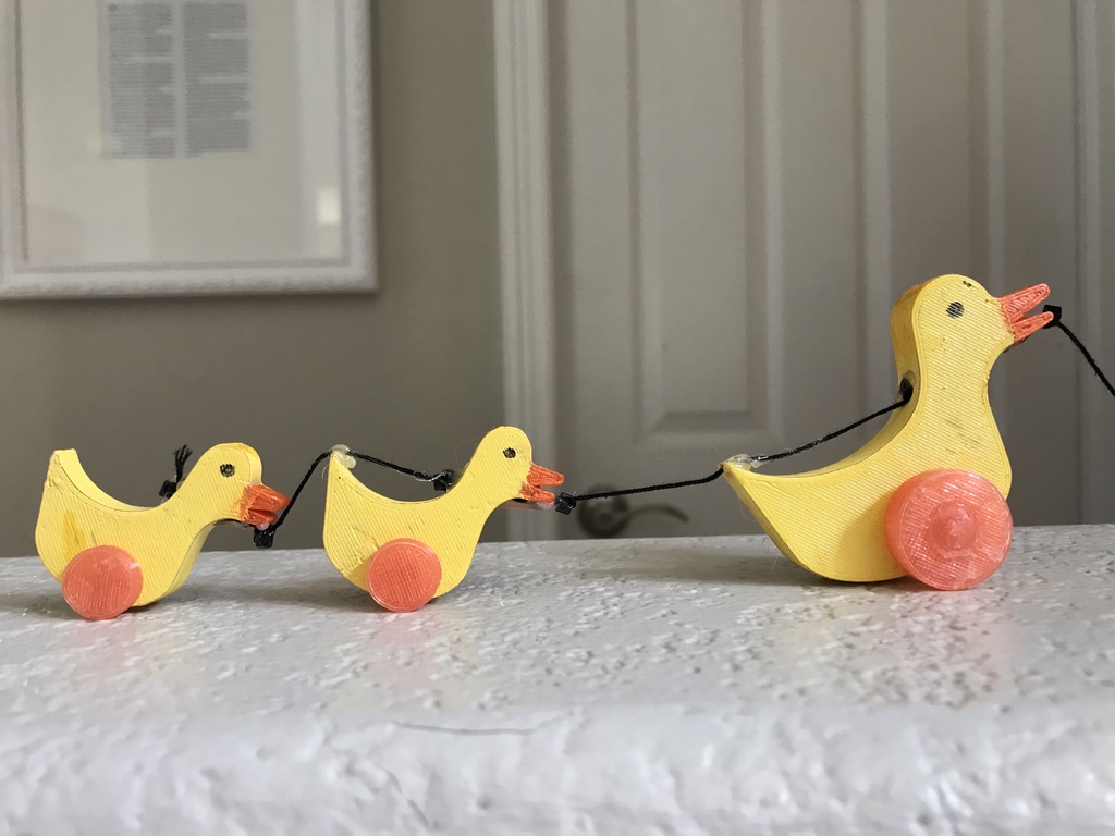Duck that goes-kids toy