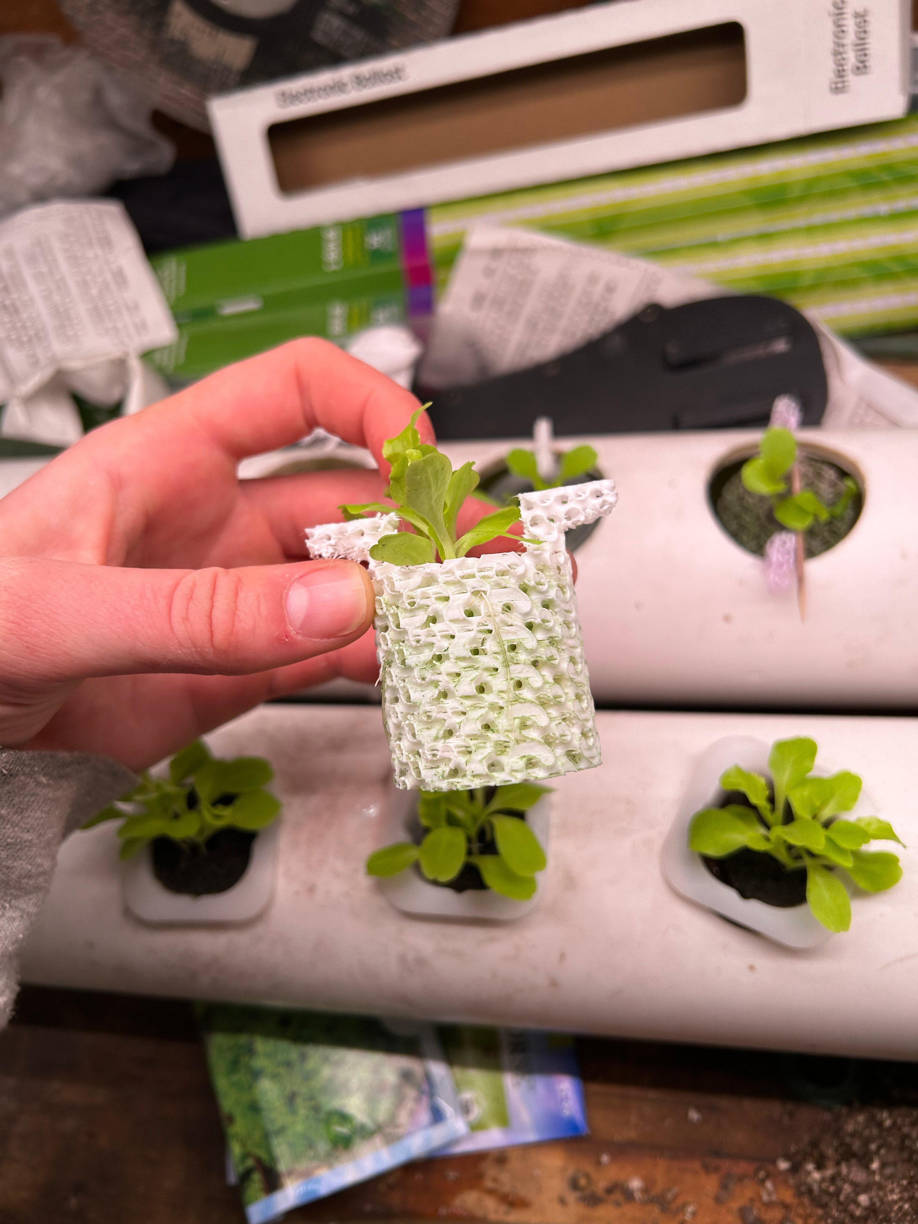 Hydroponic Substrate / Hydroponic Mediums