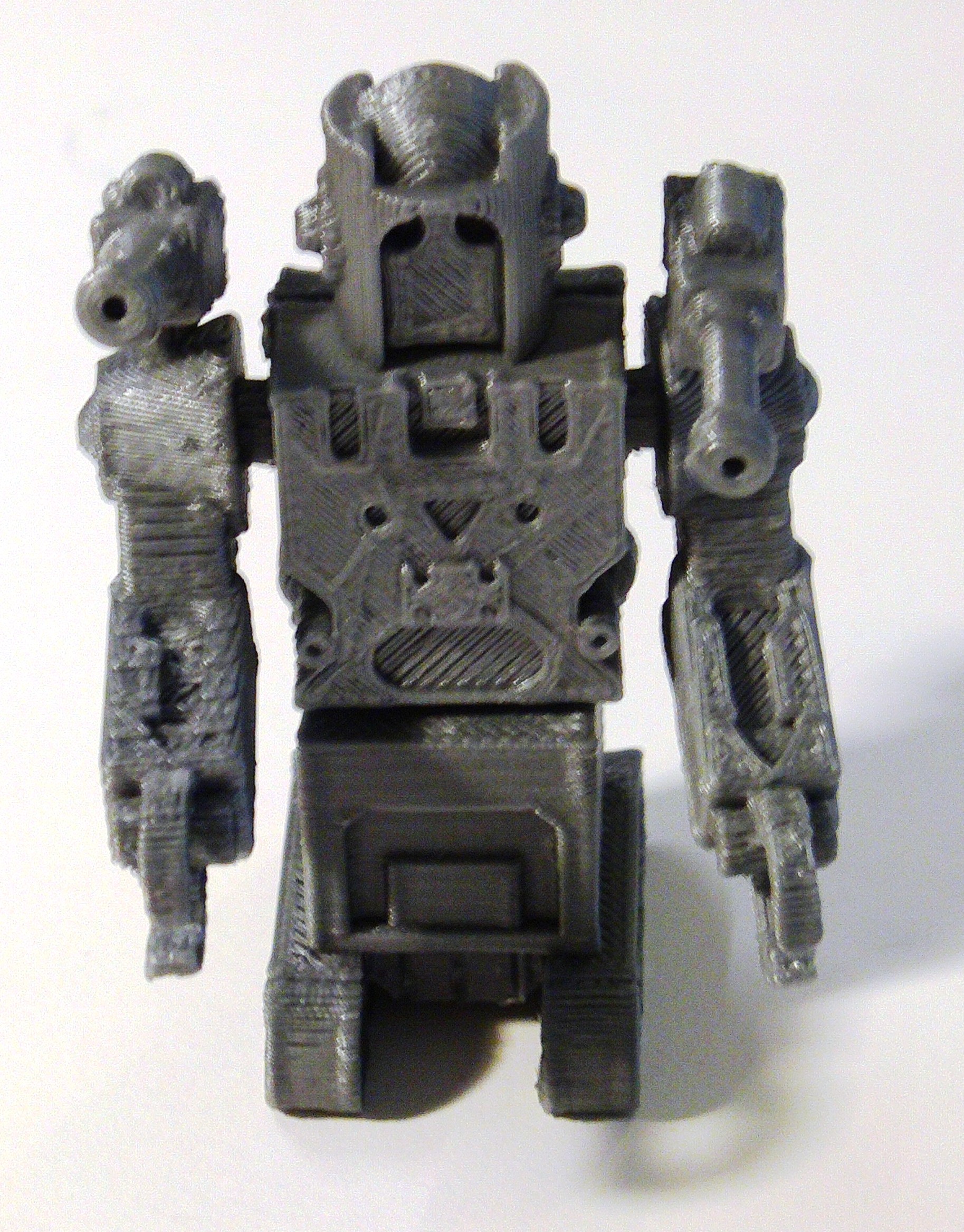 Decepticon Sentinel