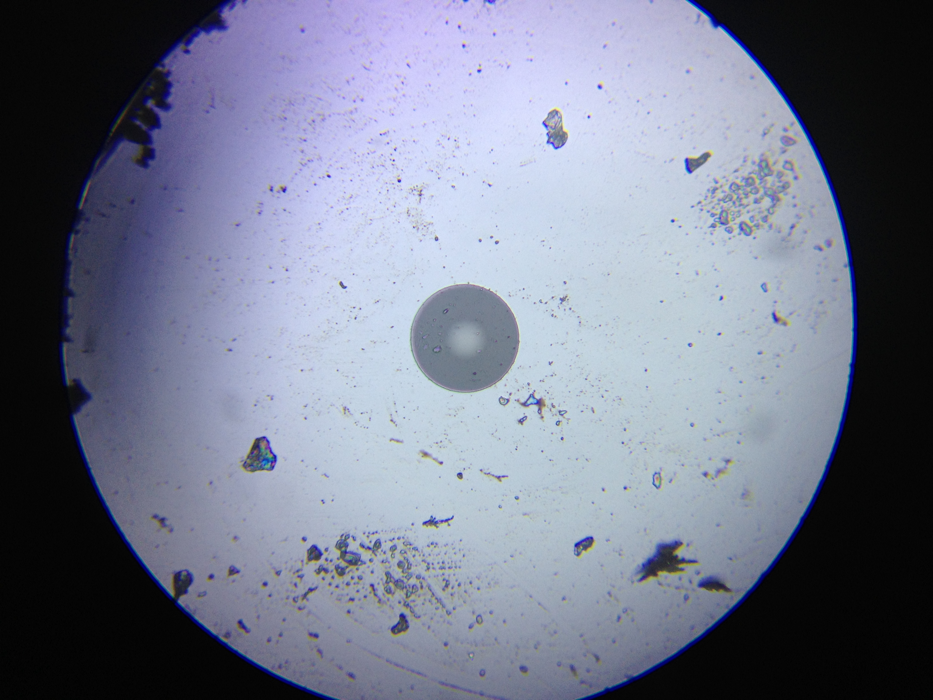 iPhone Fiber Optic Microscope adapter