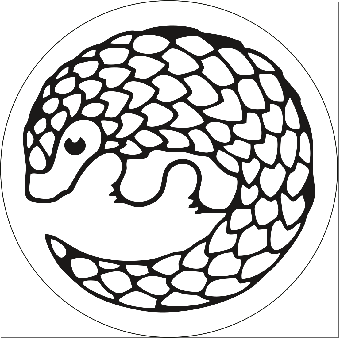 SaltyPangolin0317