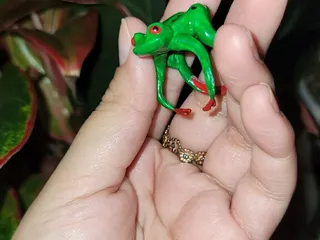 Miniatura 2 do modelo 3D Tree Frog Ring