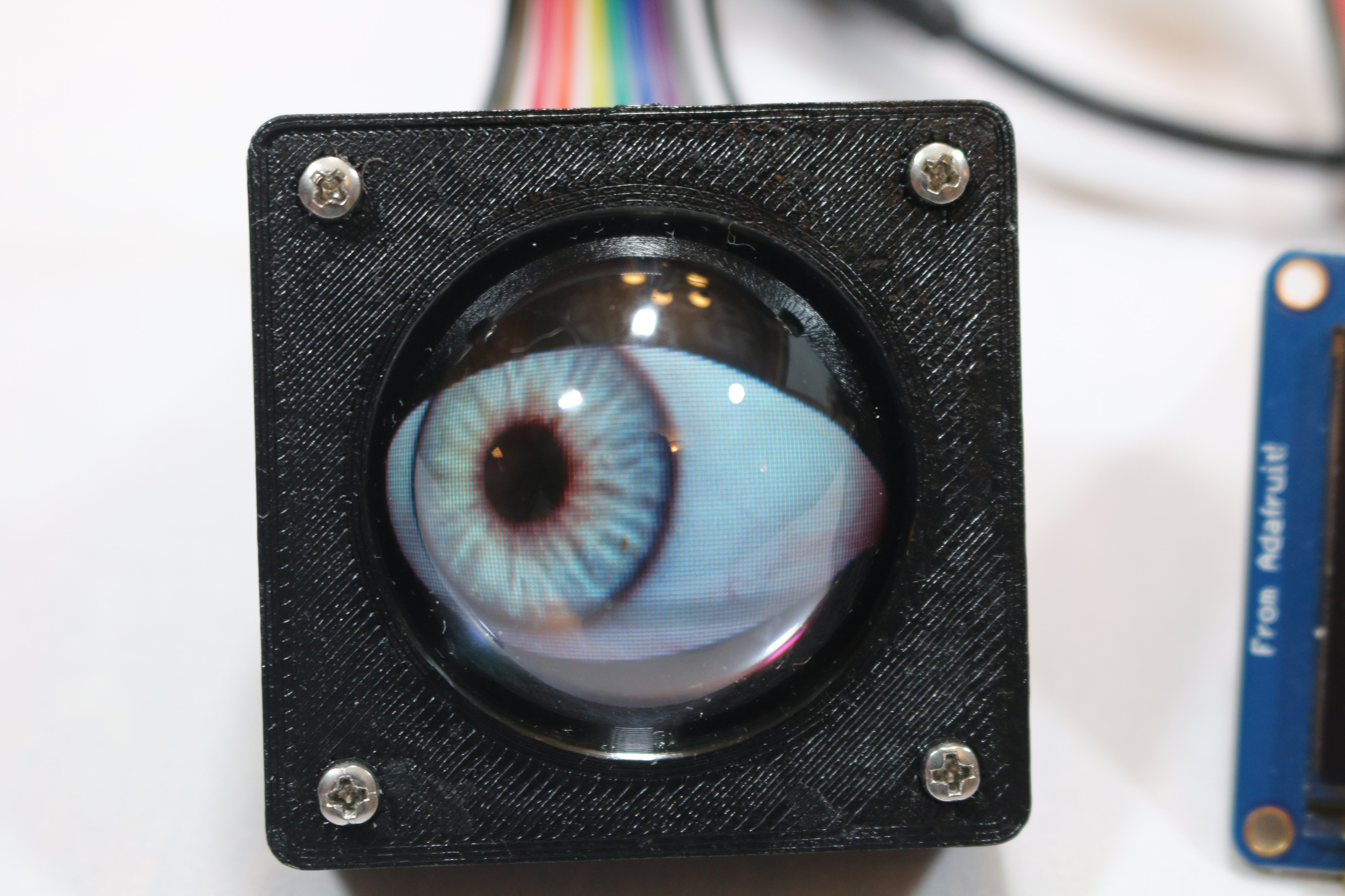 Eye Socket