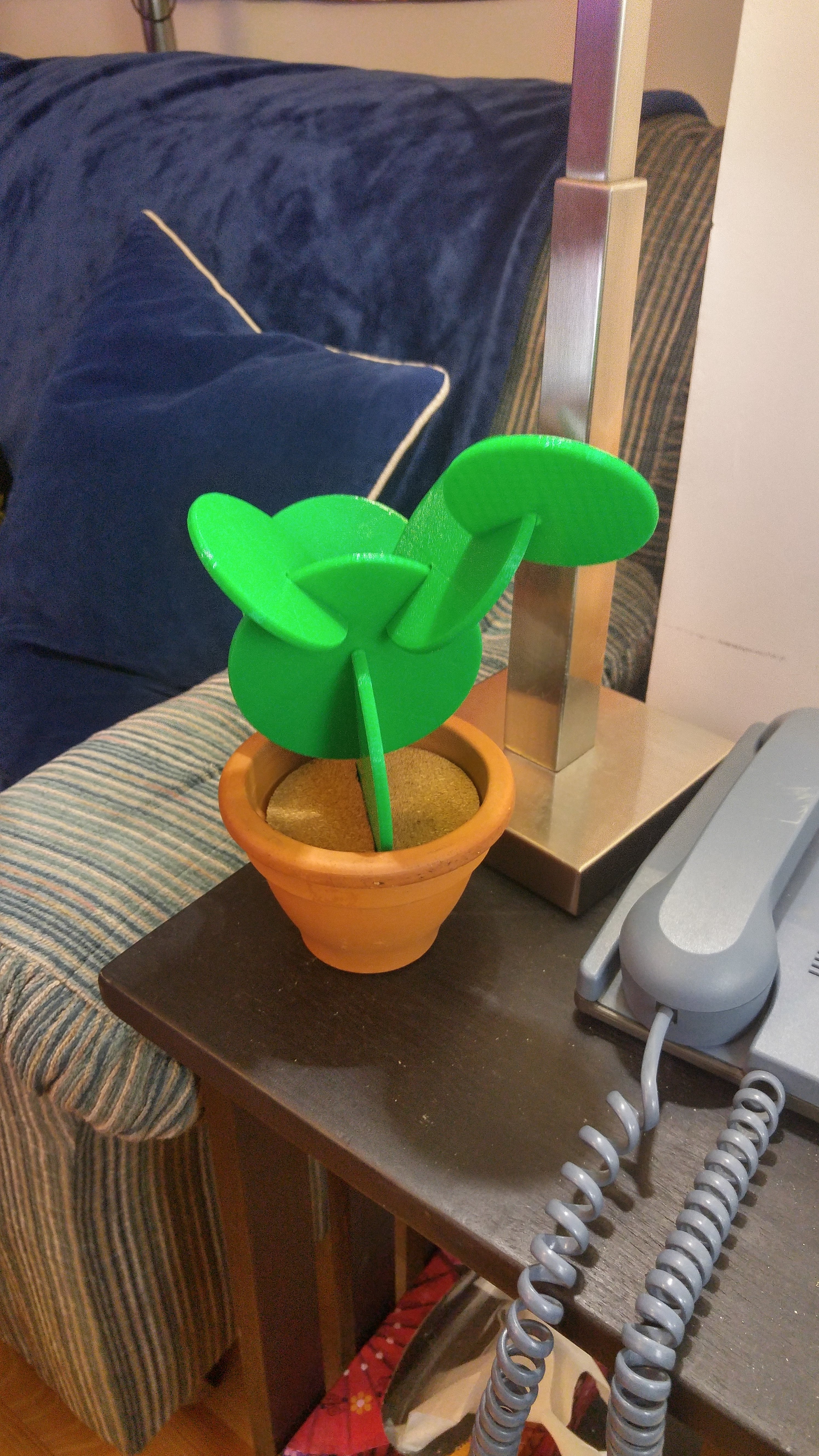 Plant coaster set