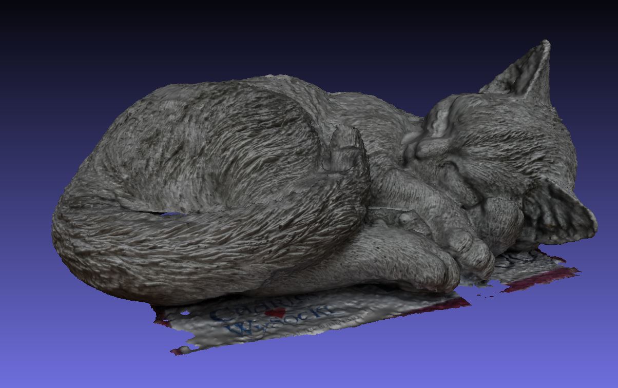 Sleeping Cat