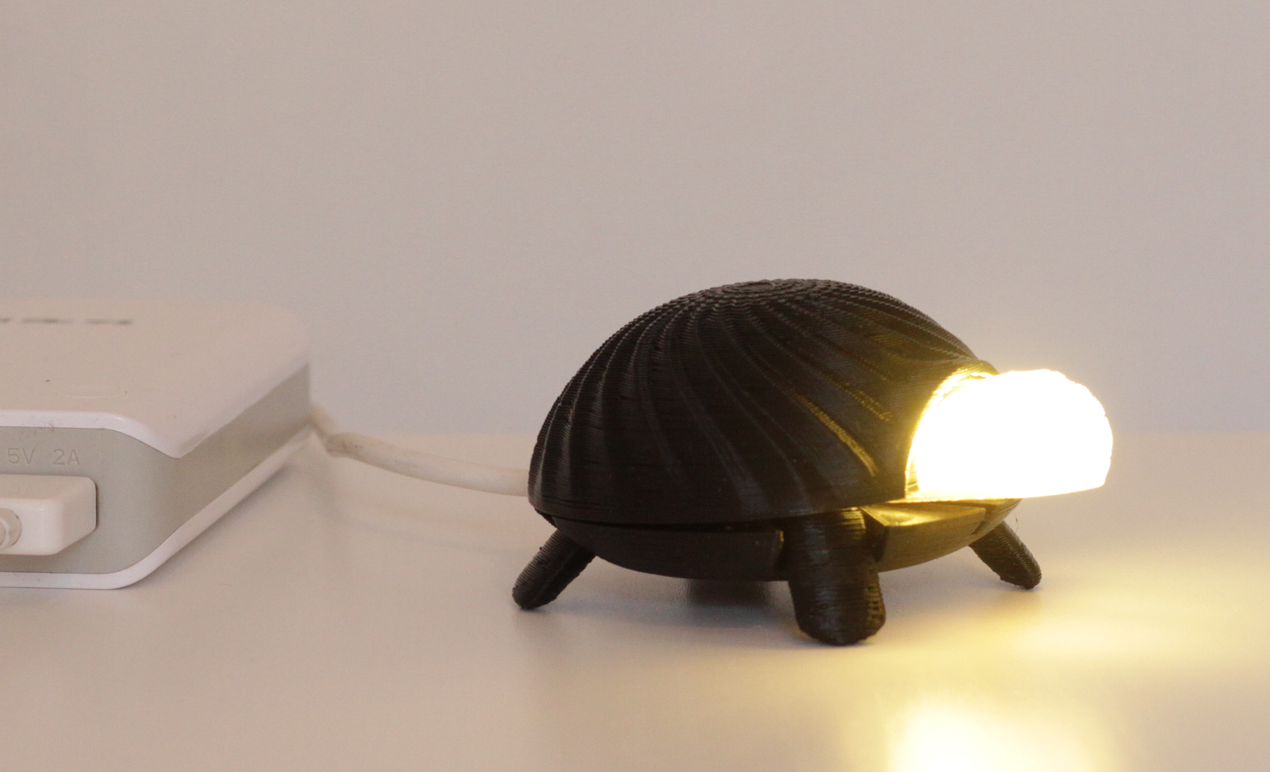 Lighting turtle