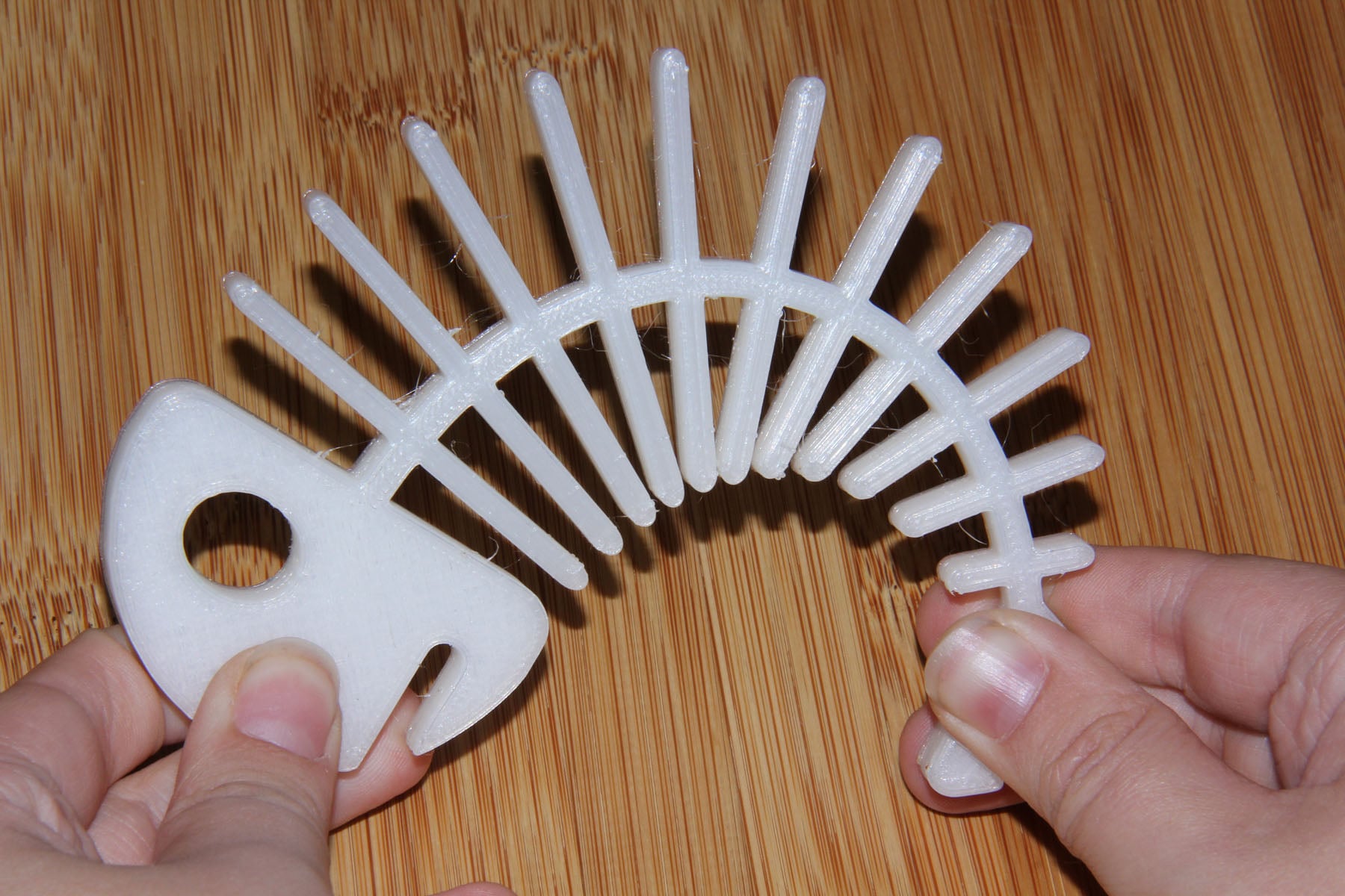 Fish Bone, larger
