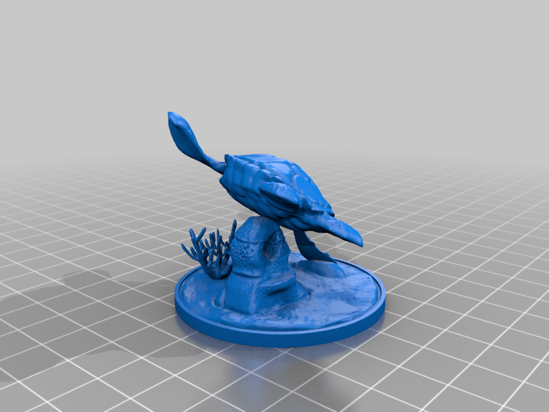 Sea Turtle